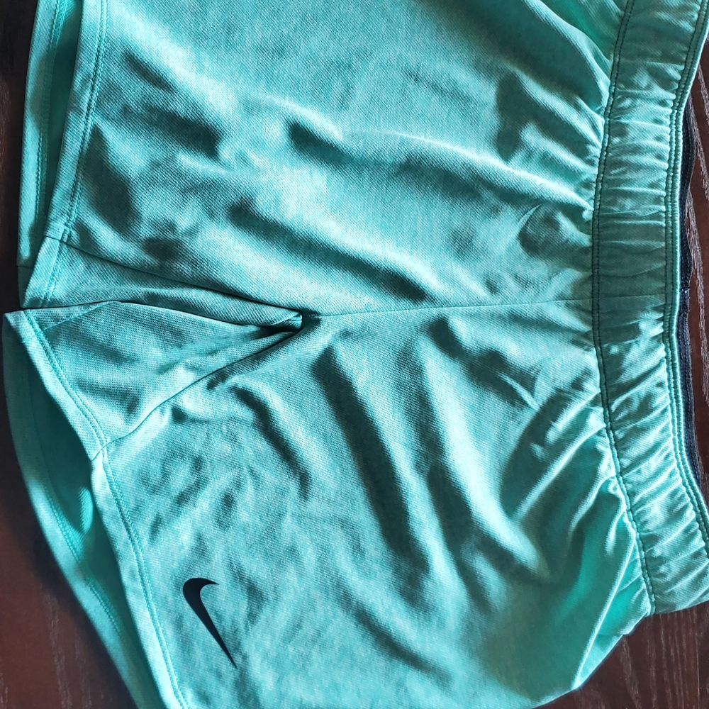 Drifit Nike Shorts